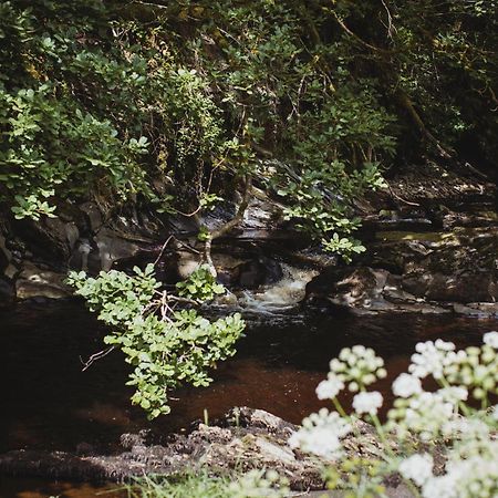River Cottage, A Luxurious And Cosy Riverside Cottage For Two ويلشبول المظهر الخارجي الصورة